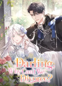 Honey, Why Can’t We Get A Divorce?